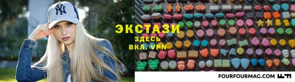 индика Арсеньев