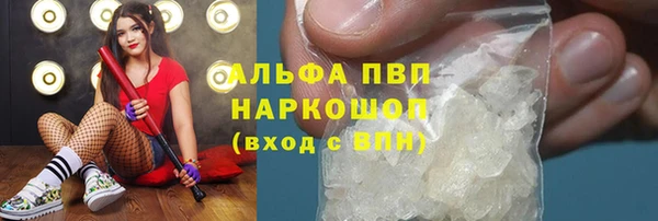 индика Арсеньев