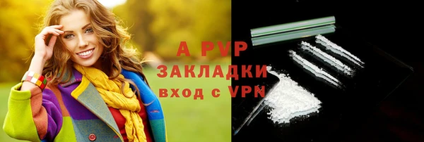 индика Арсеньев