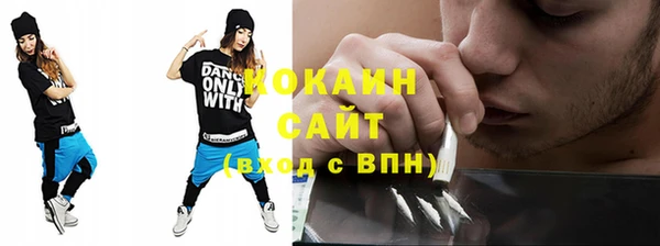 прущие грибы Балабаново