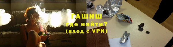 индика Арсеньев