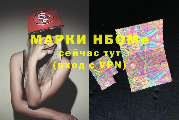 индика Арсеньев