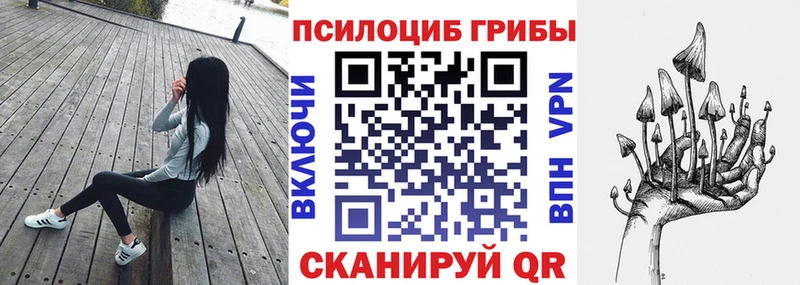 Галлюциногенные грибы Psilocybine cubensis  Купить где  Абинск 